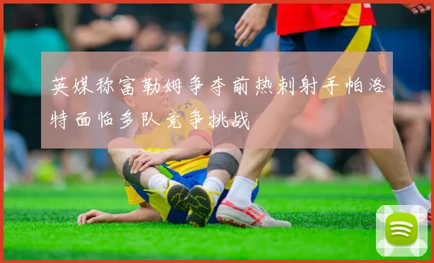 英媒称富勒姆争夺前热刺射手帕洛特面临多队竞争挑战